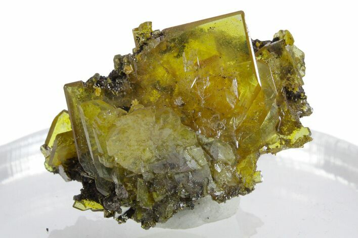 Glassy Yellow-Orange Wulfenite Crystal Cluster - Mexico #347981